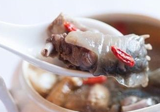 甲魚湯怎么做？甲魚湯的做法