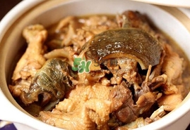 甲魚(yú)怎么做好吃？甲魚(yú)怎樣做最好吃