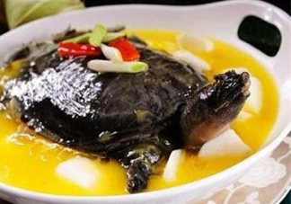 甲魚不能和什么一起吃？甲魚不能跟什么食物一起吃
