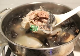 甲魚湯怎么做？甲魚湯的做法