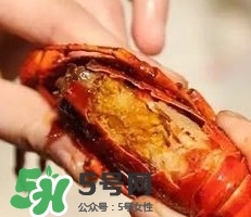 蝦黃孕婦能吃嗎？蝦黃在哪個位置圖解
