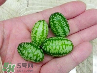 迷你西瓜能生吃嗎？迷你西瓜怎么吃