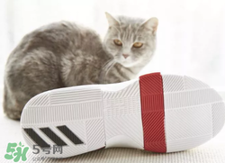 adidas dame3上腳怎么樣？阿迪達(dá)斯利拉德三代測(cè)評(píng)