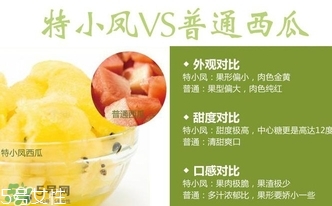 特小鳳西瓜孕婦能吃嗎？特小鳳西瓜孕婦可以吃嗎