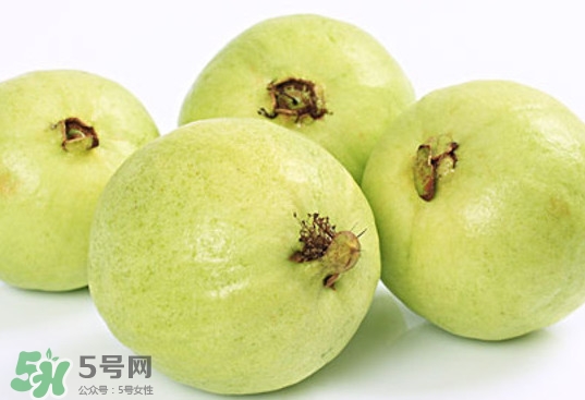 番石榴什么時(shí)候成熟？番石榴什么時(shí)候上市