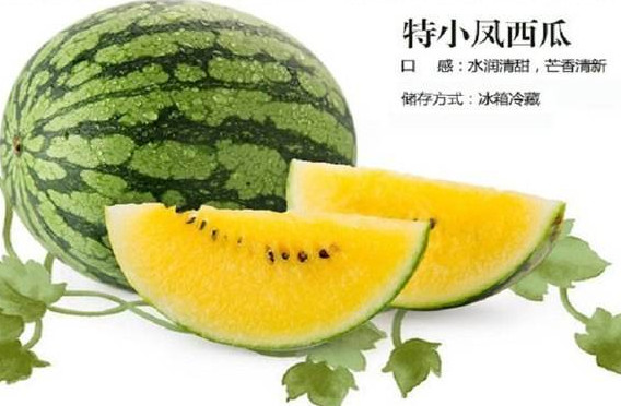 特小鳳西瓜是轉(zhuǎn)基因嗎？特小鳳西瓜是不是轉(zhuǎn)基因