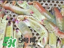 蝦黃孕婦能吃嗎？蝦黃在哪個位置圖解
