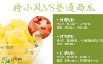 特小鳳西瓜多少錢一斤2017？特小鳳西瓜價格