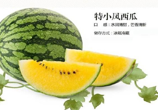特小鳳西瓜是轉(zhuǎn)基因嗎？特小鳳西瓜是不是轉(zhuǎn)基因