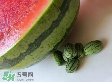 世界上最小的西瓜  迷你西瓜多少錢一個？