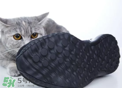 adidas alphabounce上腳怎么樣？阿迪達(dá)斯阿爾法小椰子測評