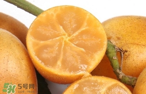 黃皮果怎么保存？黃皮果如何保存