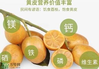 如何種植黃皮果？黃皮果怎么種植？