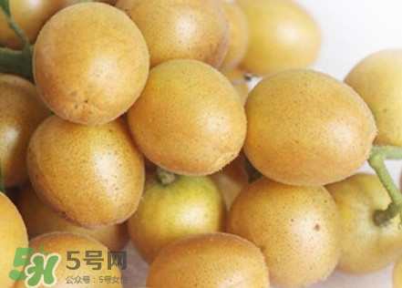 雞心黃皮幾年才掛果？雞心黃皮如何種植管理