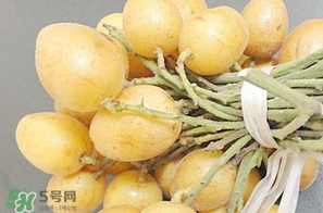 黃皮果多少錢一斤2017？黃皮果價(jià)格