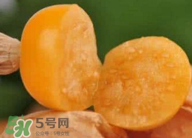 姑娘果是寒性嗎？姑娘果是涼性還是熱性？