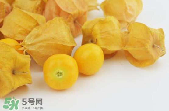 姑娘果什么時(shí)候成熟？姑娘果什么時(shí)候上市