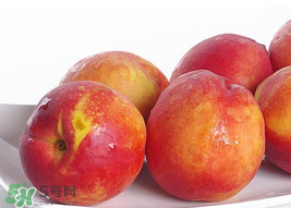 吃油桃會(huì)拉肚子嗎？拉肚子可以吃油桃嗎？