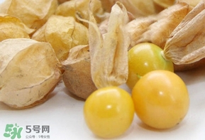 姑娘果什么時(shí)候成熟？姑娘果什么時(shí)候上市