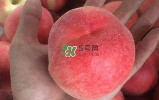 紅不軟桃?guī)自路莩墒?？紅不軟桃什么時候成熟
