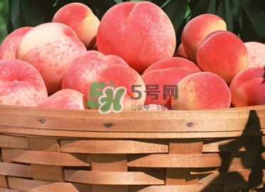 血桃多少錢一斤2017？血桃哪個(gè)品種最好吃