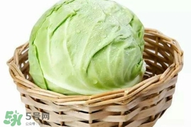 圓白菜是包菜嗎？圓白菜是大頭菜嗎？