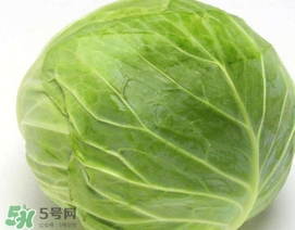 圓白菜是什么菜？圓白菜能生吃嗎？