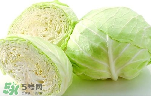 圓白菜是卷心菜嗎？圓白菜是不就是卷心菜