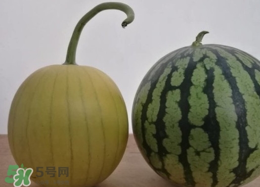 四色瓤西瓜是轉(zhuǎn)基因嗎？四色瓤西瓜是不是轉(zhuǎn)基因？