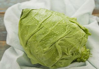 圓白菜是包菜嗎？圓白菜是大頭菜嗎？