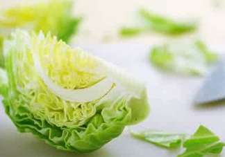 圓白菜怎么做好吃？圓白菜有什么功效