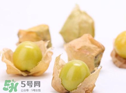 姑娘果什么時(shí)候成熟？姑娘果什么時(shí)候上市