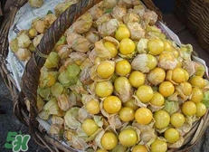 花姑娘水果怎么吃？花姑娘水果吃之前要洗嗎？