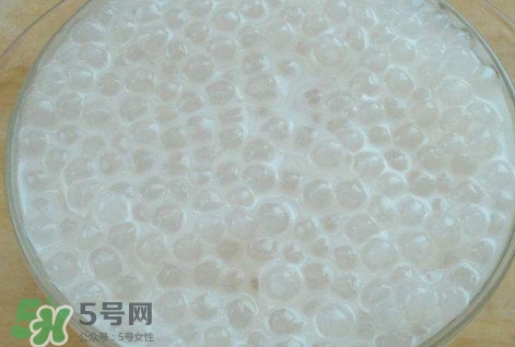 楊枝甘露是比喻什么？楊枝甘露是什么