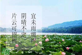 夏至是入伏嗎？夏至后多久入伏？