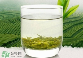 如何鑒別信陽毛尖好壞？信陽毛尖品鑒十步法