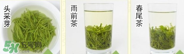 信陽毛尖什么牌子好？信陽毛尖哪個品牌好