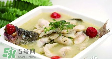 海鱸魚多少錢一斤2017？淡水鱸魚多少錢一斤？