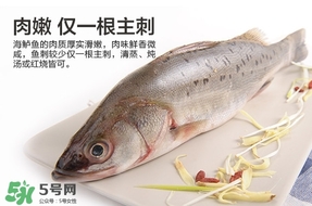 鱸魚是海鮮嗎？鱸魚是不是海鮮？