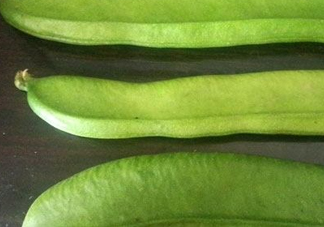 刀豆是四季豆嗎？刀豆和四季豆的區(qū)別
