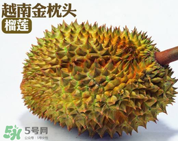 紅心榴蓮多少錢一斤？紅心榴蓮為什么這么貴？