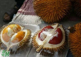 紅心榴蓮多少錢一斤？紅心榴蓮為什么這么貴？
