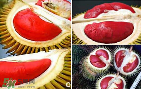 紅心榴蓮叫什么？紅心榴蓮是哪個(gè)國(guó)家產(chǎn)的？