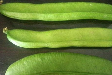 刀豆是發(fā)物嗎？刀豆是不是發(fā)物