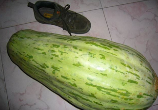 菜瓜怎么炒好吃？菜瓜怎么做好吃