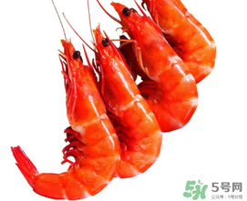 楊梅和蝦能一起吃嗎？蝦和楊梅能一起吃嗎？