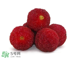 吃完楊梅不能吃什么？吃完楊梅可以吃別的水果嗎？
