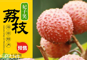 妃子笑荔枝多少錢一斤？2017妃子笑荔枝價(jià)格