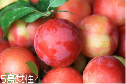 ?楊梅和李子能一起吃嗎？楊梅和李子一起吃會中毒嗎？