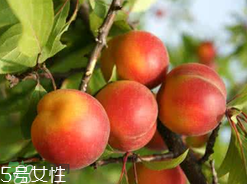 ?楊梅和李子能一起吃嗎？楊梅和李子一起吃會中毒嗎？